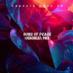 Capsule Deep SA - Song Of Peace (Original Mix)