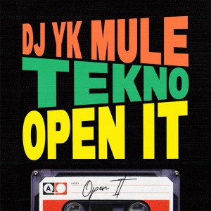 Dj Yk Mule & Tekno - Open It.mp