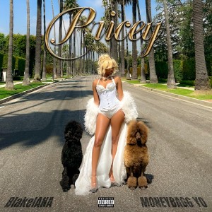 BlakeIANA - Pricey Ft. Moneybagg Y
