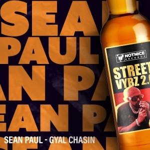 Sean Paul - Gyal Chasin ft. Notnice (www.ziipu.ao)