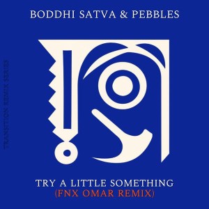 Boddhi Satva & Pebbles - Try a Little Something (FNX Omar Remix)