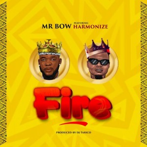 Mr. Bow - Fire